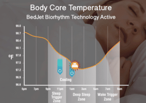 bedjet review